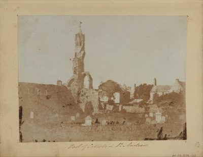 The West End of St. Andrews and the Cathedral Precinct from the Northeast by Hill and Adamson